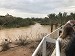2019 Mar. 1 Jordan River at Bethany