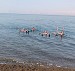 2019 Mar. 6 Dead Sea